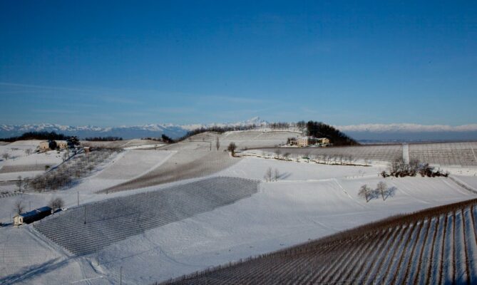 Pecchenino wijngaarden in de sneeuw 2