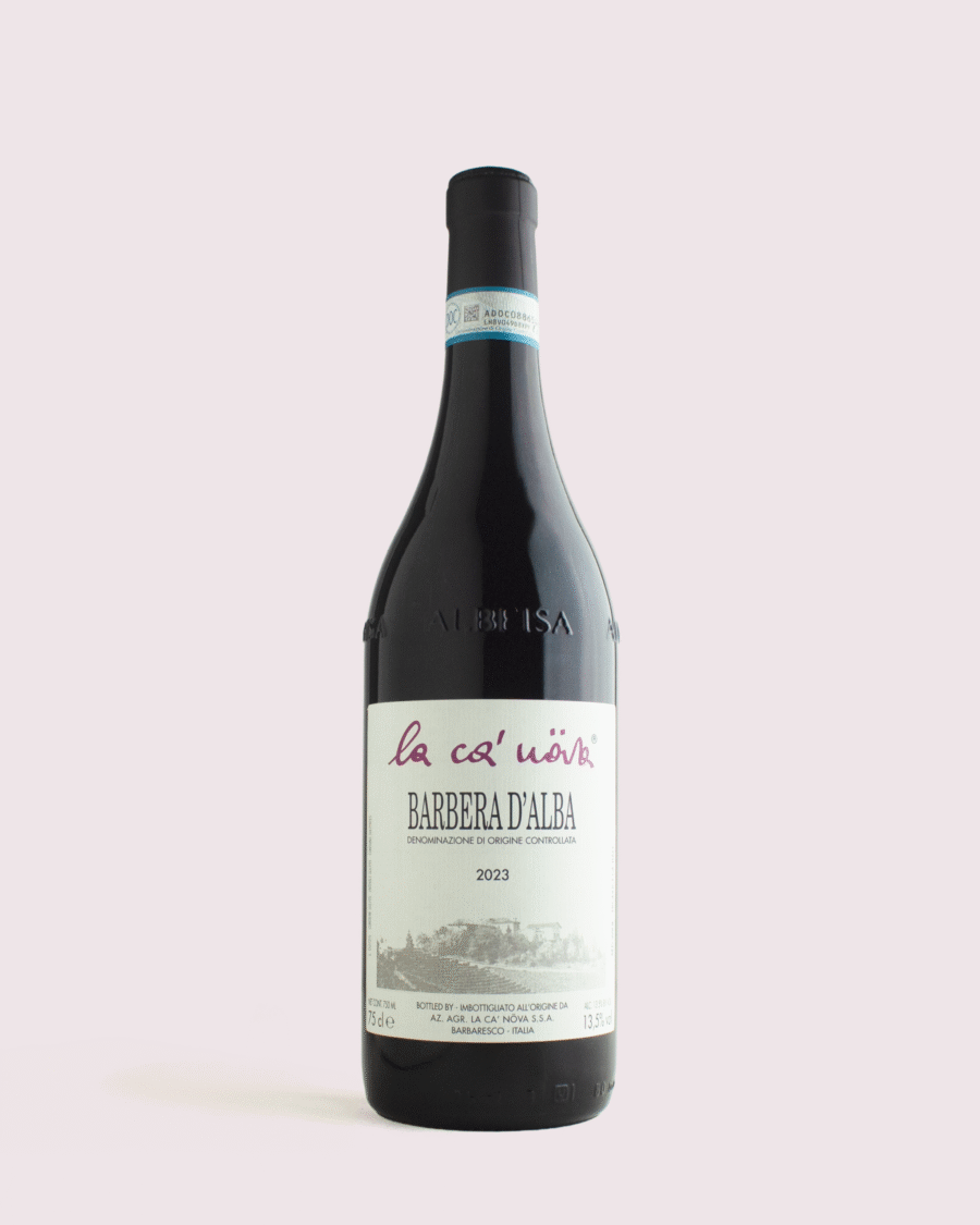 2023, Barbera d'Alba
